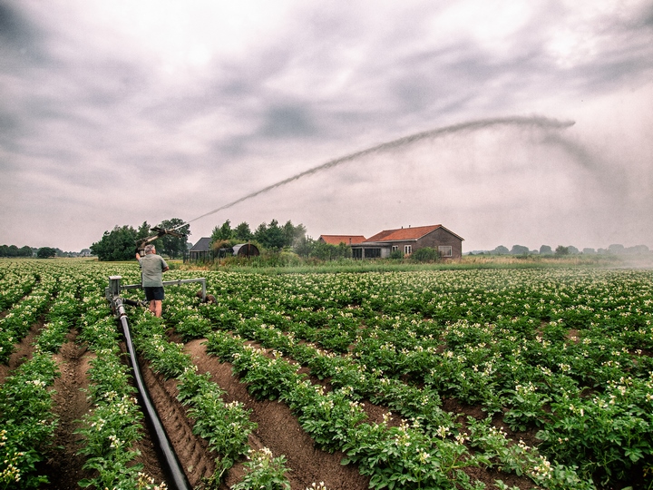 foto-s-van-chris-konings-agrifoto-nl